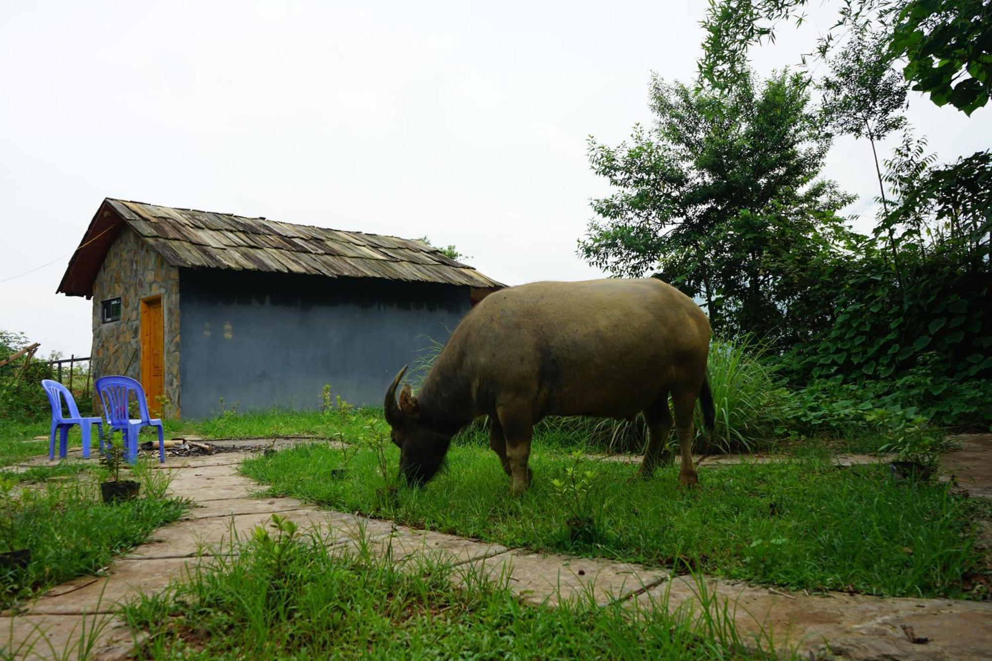 Sapa Hillcrest * Lao Cai