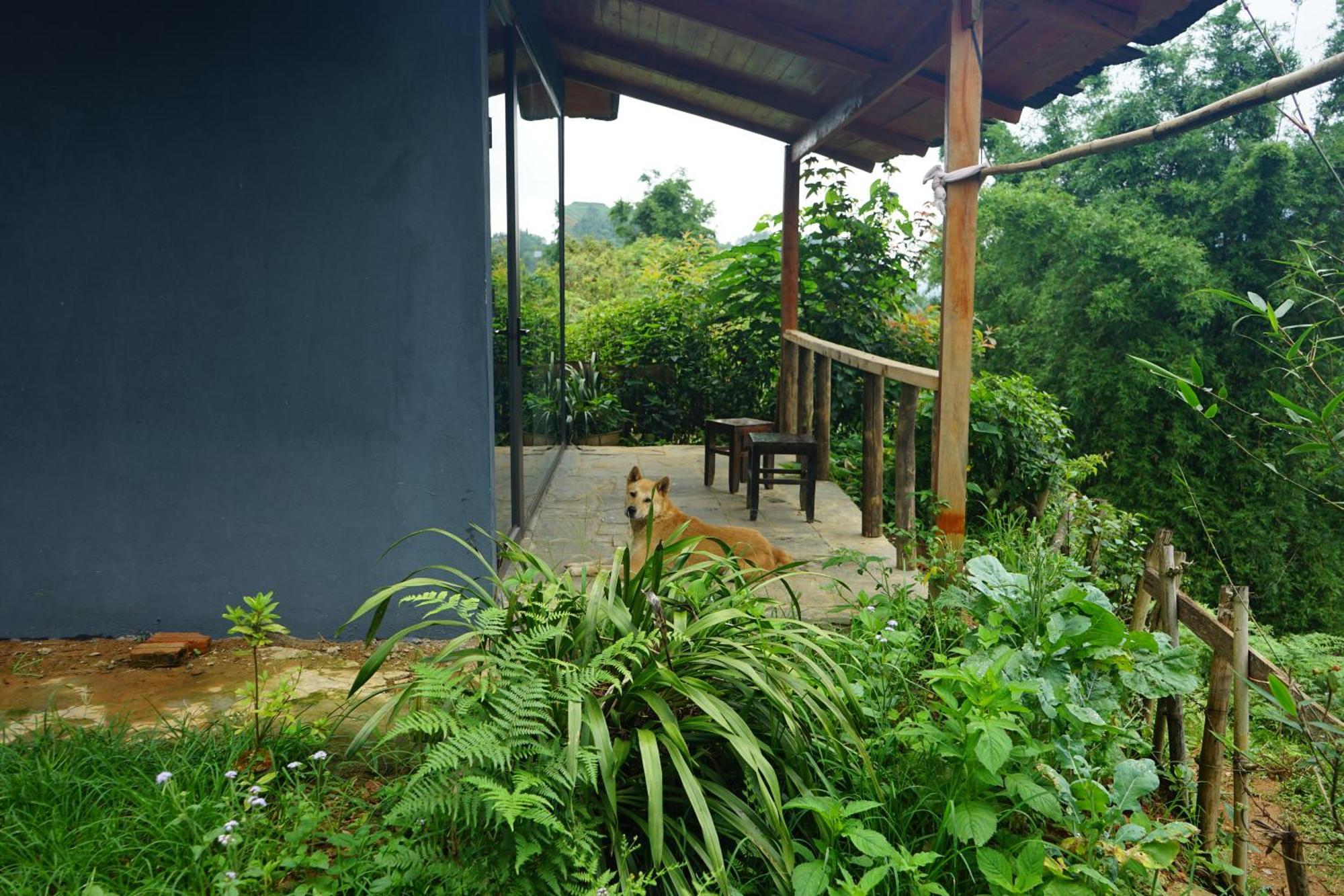 Homestay Sapa Hillcrest Lao Cai